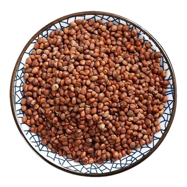 Raphanus Seed Lai Fu Zi 500g Dried Radish Seed for Tea and Decoction Raw Chinese Herb - Image 5
