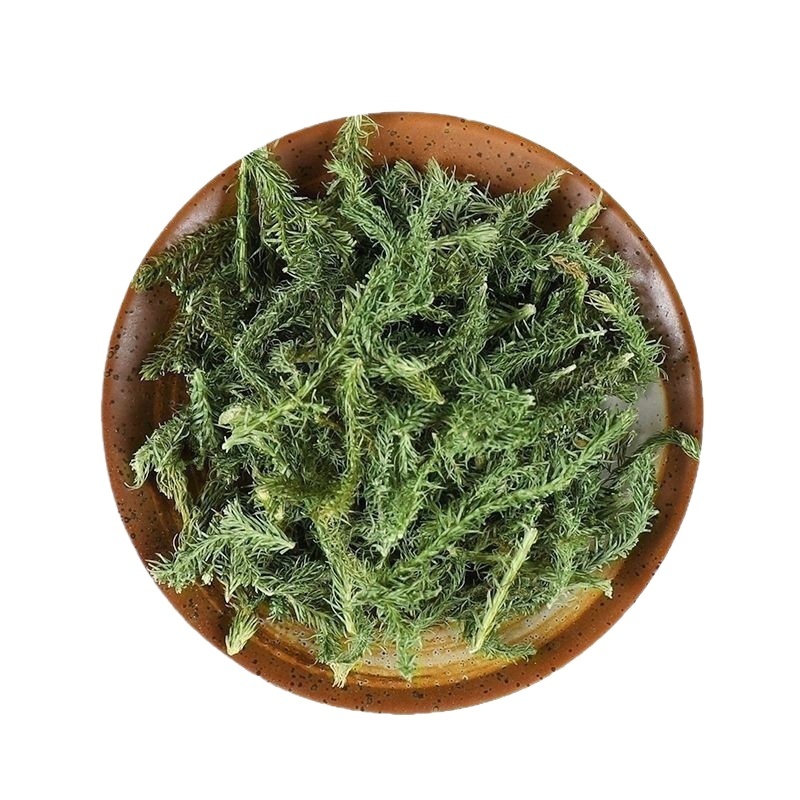 Dried Shen Jin Cao 伸筋草 500g Sliced Lycopodium Herb for Traditional Decoctions and Herbal Tea - Image 5