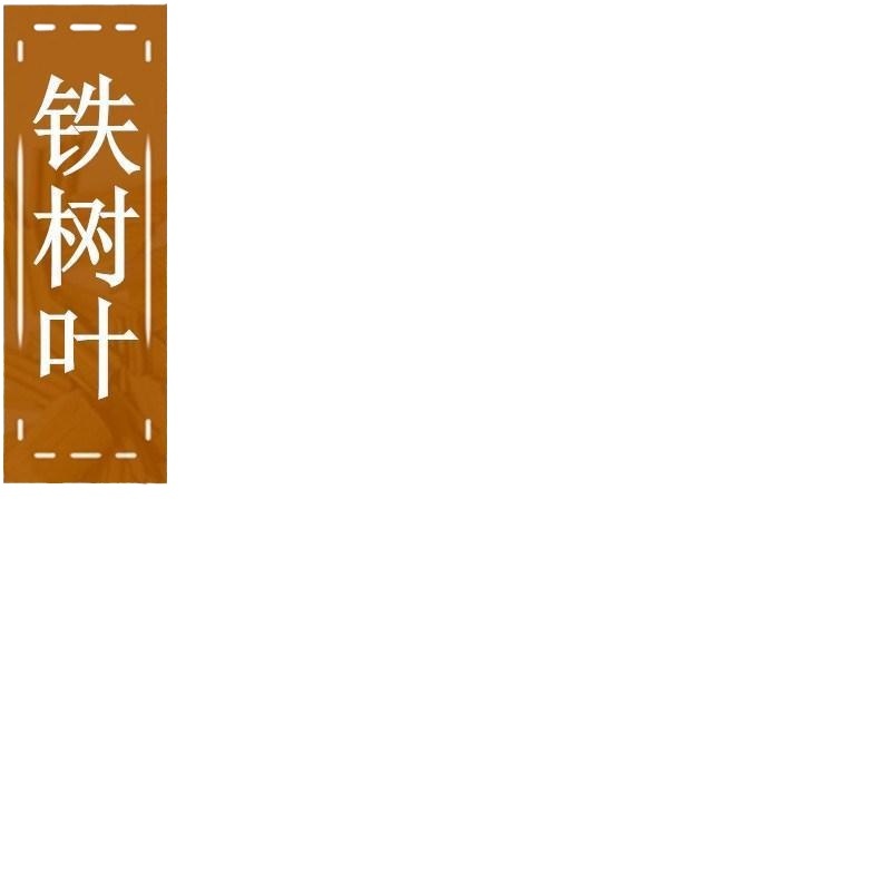 Dried Cycas Leaf Slices Tie Ye 500g Traditional Chinese Herb for Decoction and Herbal Tea - Image 2