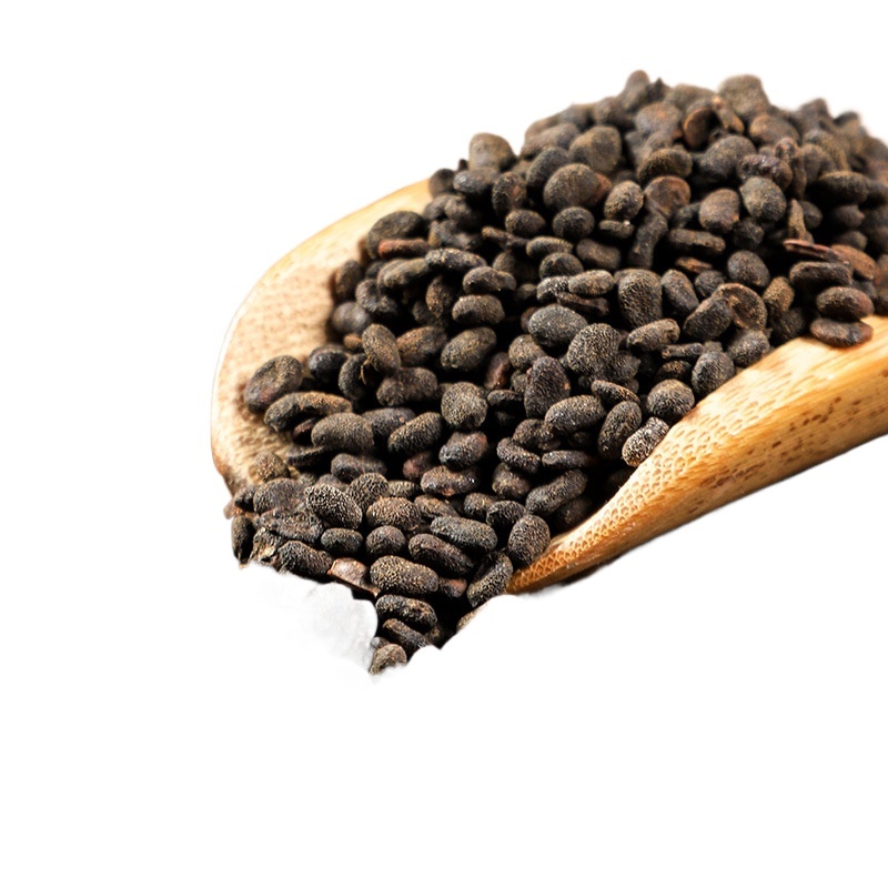 Bu Gu Zhi Psoralea Fruit 500g Dried Chinese Herbal Seeds for Decoction and Tea - Image 3