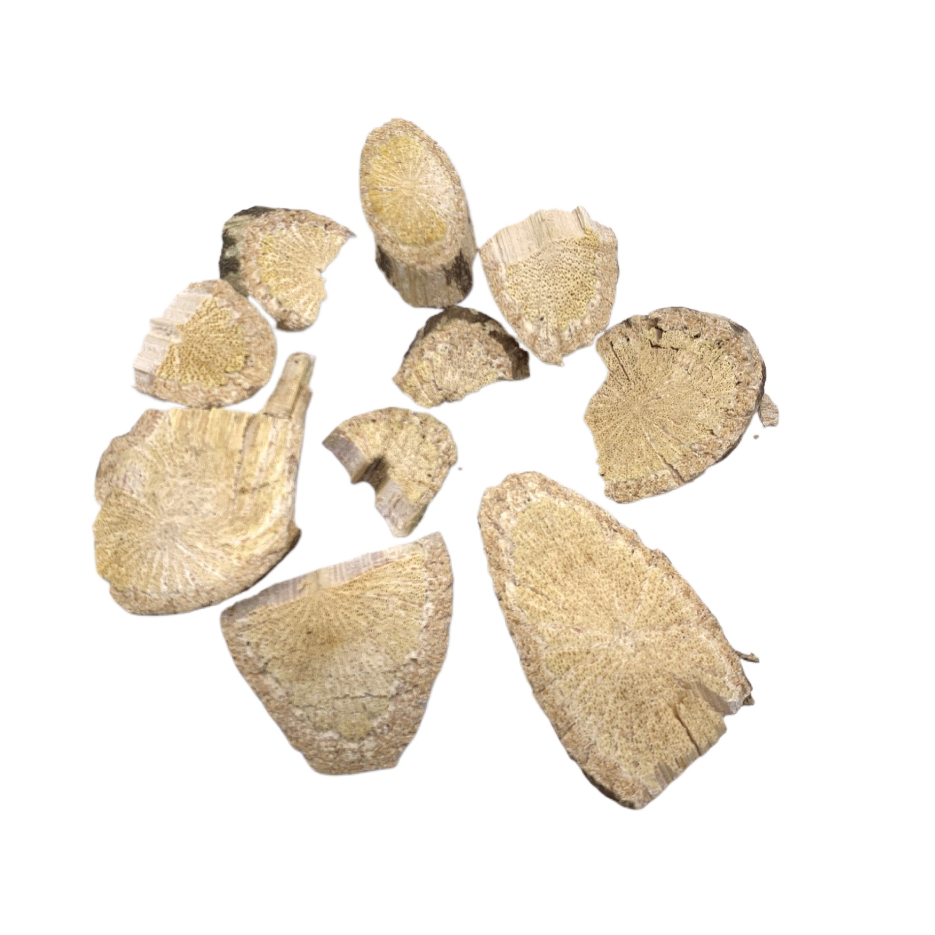 Fang Ji Dried Slices 500g Stephania tetrandra Root Traditional Chinese Herb for Decoction - Image 2