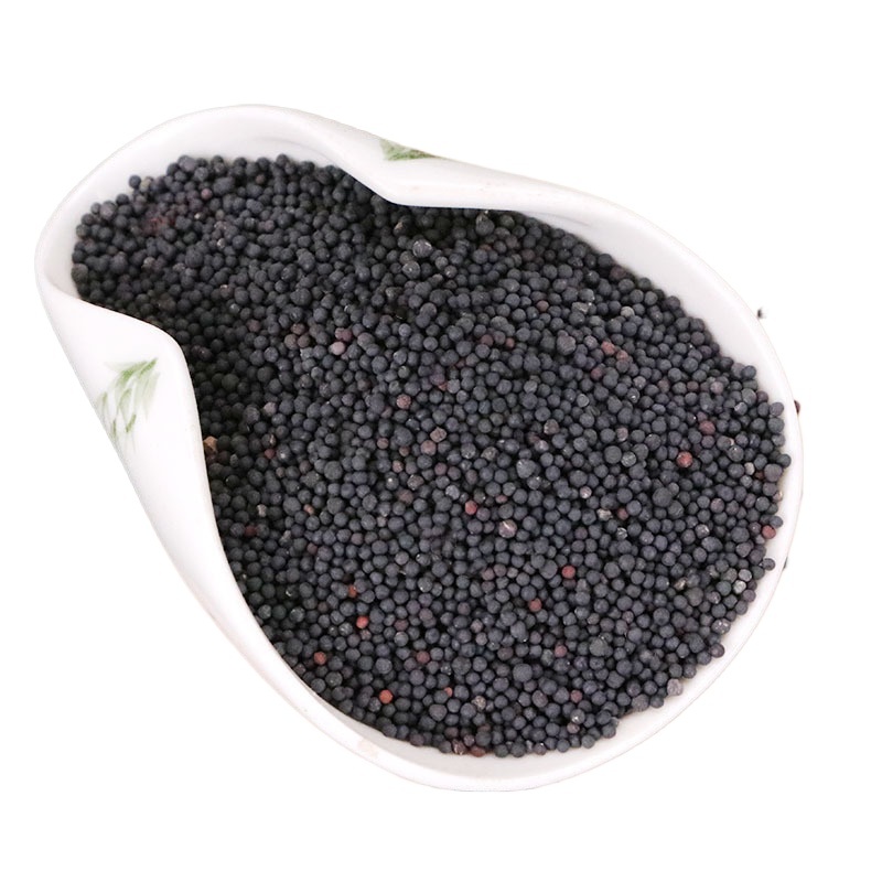 Wang Bu Liu Xing Cowherb Seeds 500g Dried Vaccaria Segetalis Raw Herb for Decoction and Traditional Use - Image 2