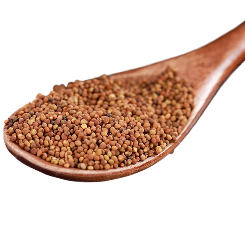 Dried Dodder Seed Tu Si Zi 500g Whole Chinese Herbal Seeds for Tea and Decoction Use - Image 2