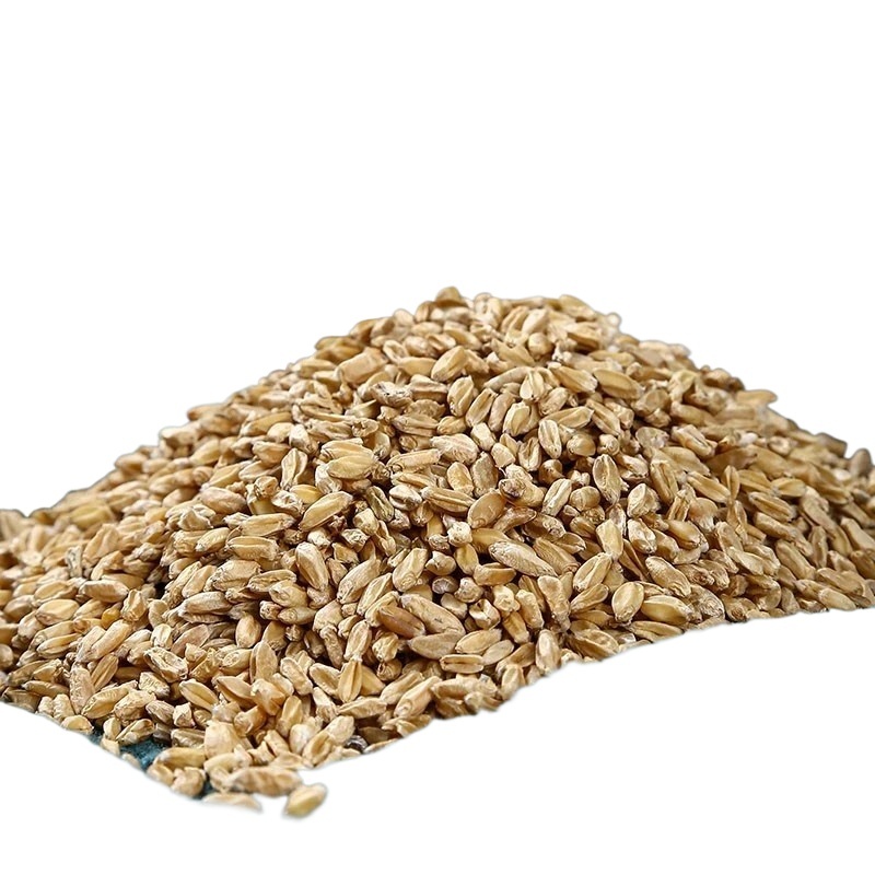 Fu Xiao Mai Floating Wheat 500g Dried Triticum aestivum Herbal Tea Grain - Image 3