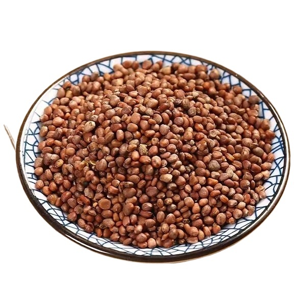 Raphanus Seed Lai Fu Zi 500g Dried Radish Seed for Tea and Decoction Raw Chinese Herb - Image 4