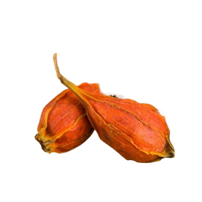 Dried Gardenia Fruit Zhi Zi 500g Whole Red Gardenia Jasminoides for TCM Decoction and Herbal Tea - Image 3