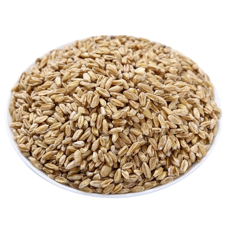 Fu Xiao Mai Floating Wheat 500g Dried Triticum aestivum Herbal Tea Grain - Image 4