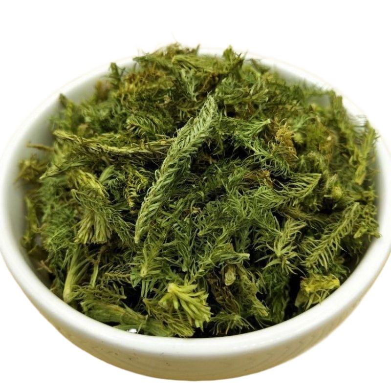 Dried Shen Jin Cao 伸筋草 500g Sliced Lycopodium Herb for Traditional Decoctions and Herbal Tea - Image 2
