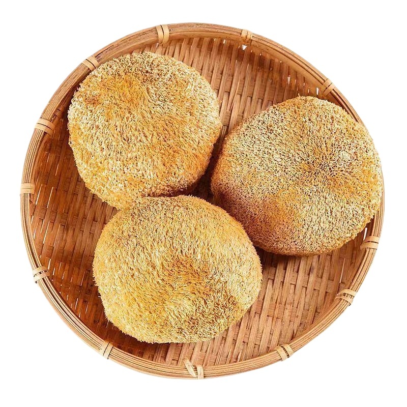 Dried Lion's Mane Mushroom Hou Tou Gu Hericium erinaceus Whole Dried Culinary Mushroom 100g - Image 5