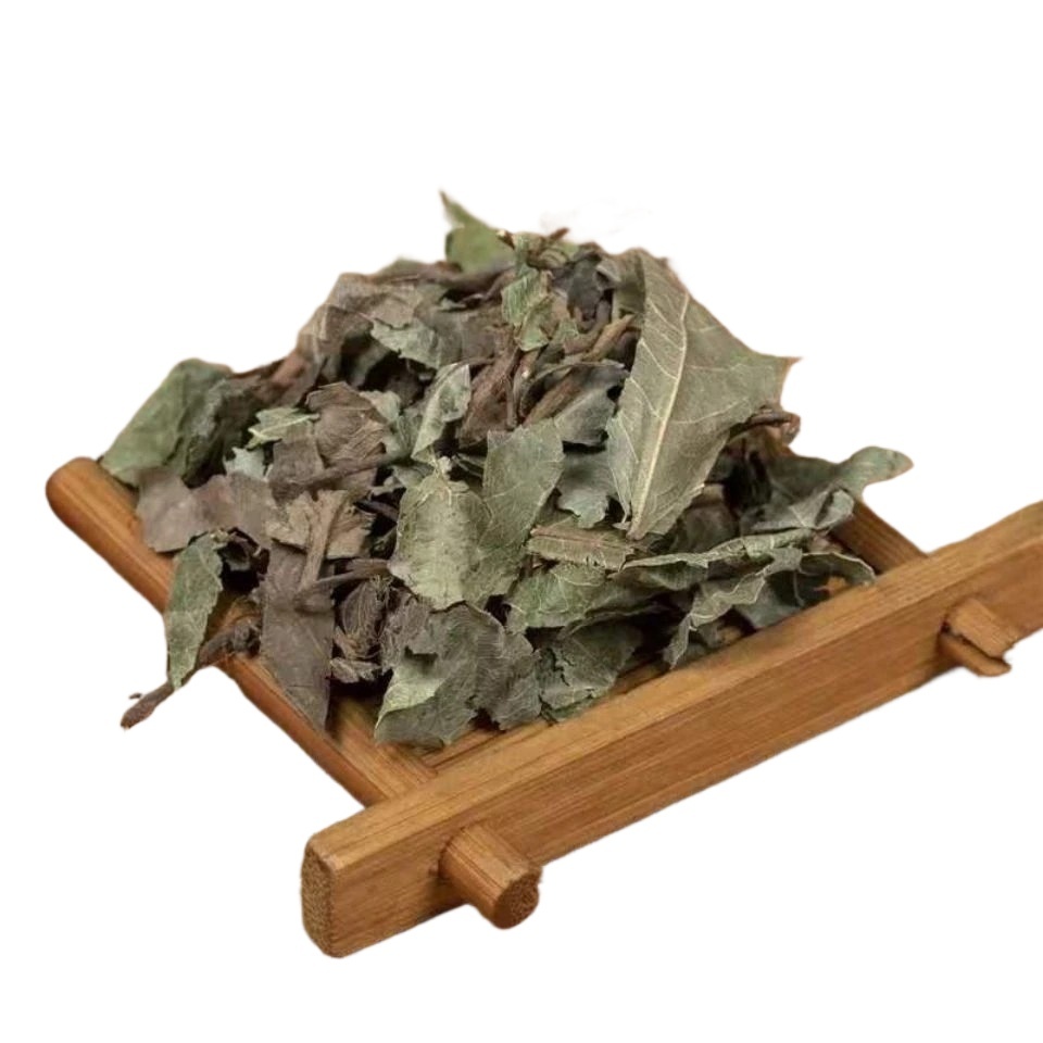 Ai Di Cha Dried Herb 1000g Ardisia japonica Whole Herb for Traditional Decoctions - Image 2