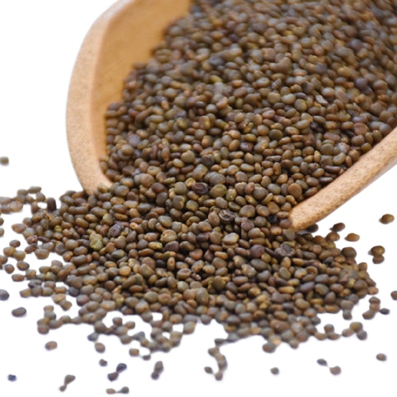 Sha Yuan Zi 500g Dried Flatstem Milkvetch Seeds Traditional Chinese Herbal Tea Ingredient - Image 2
