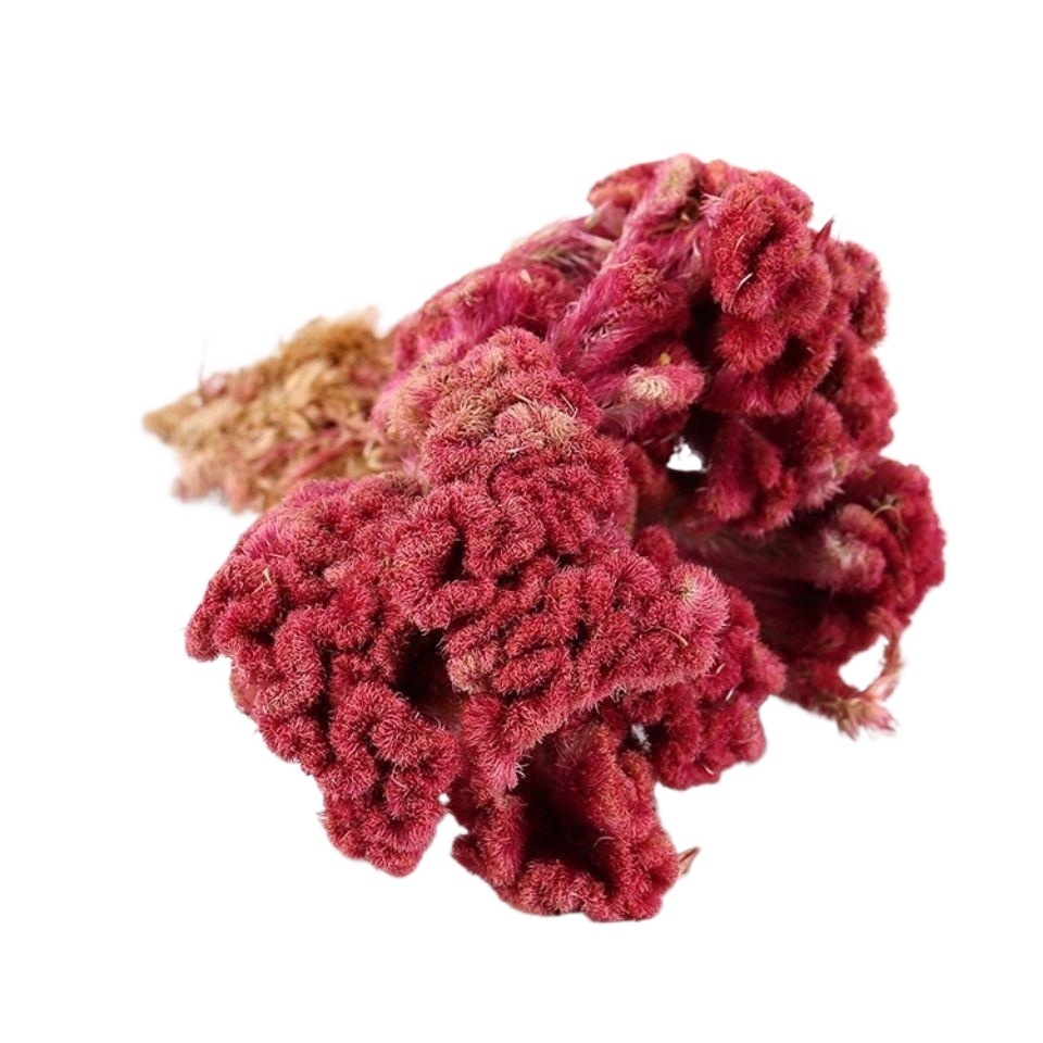 Dried Cockscomb Flower Ji Guan Hua Celosia Cristata Cut Herbal Tea Ingredient 1000g - Image 3