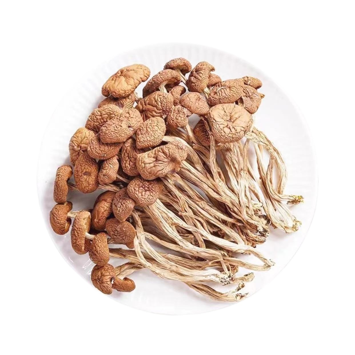 Dried Tea Tree Mushroom Cha Shu Gu Agrocybe cylindracea Sun-Dried Culinary Mushrooms for Soups and Stir-Fries 100g - Image 5