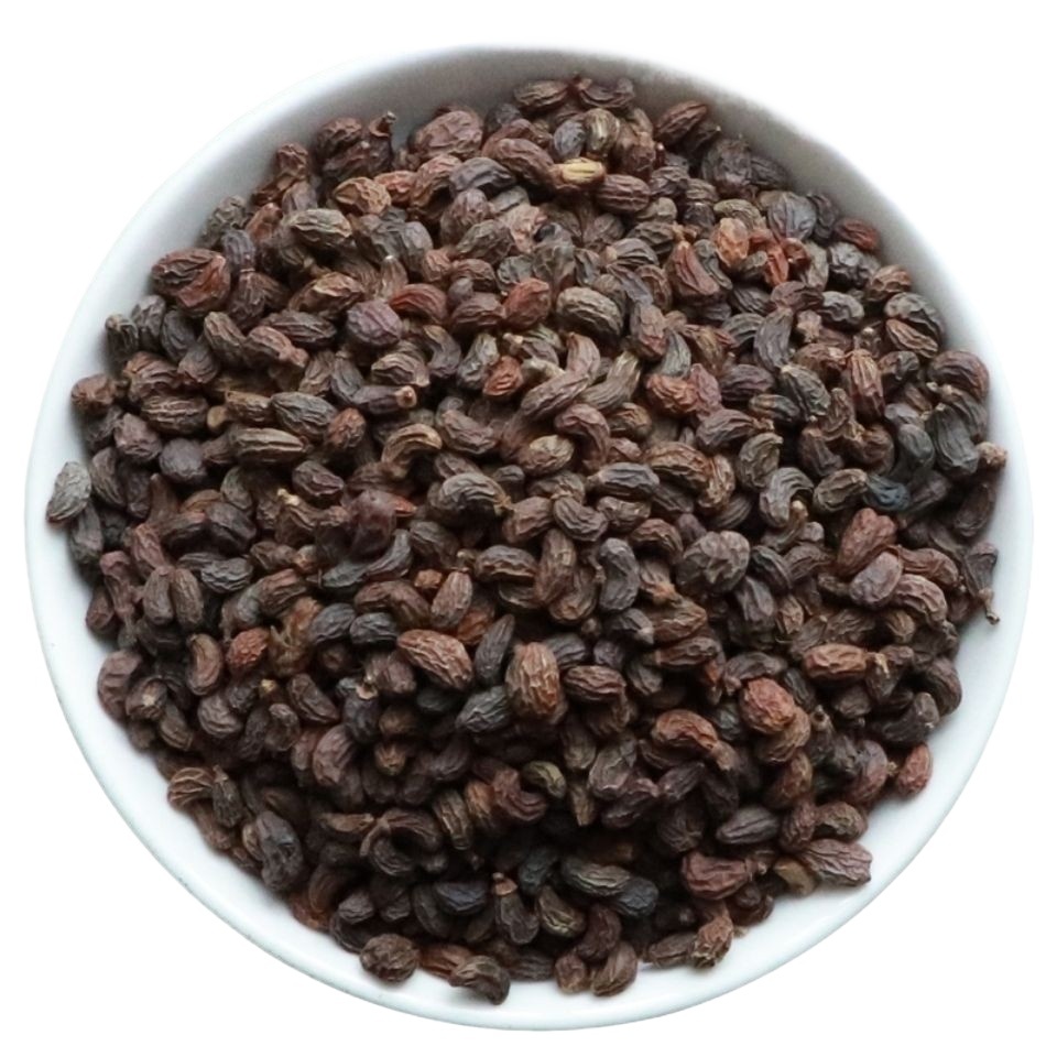 Glossy Privet Fruit Nuzhenzi 500g Dried Ligustrum lucidum Berries for Tea Wine and Herbal Decoction - Image 5