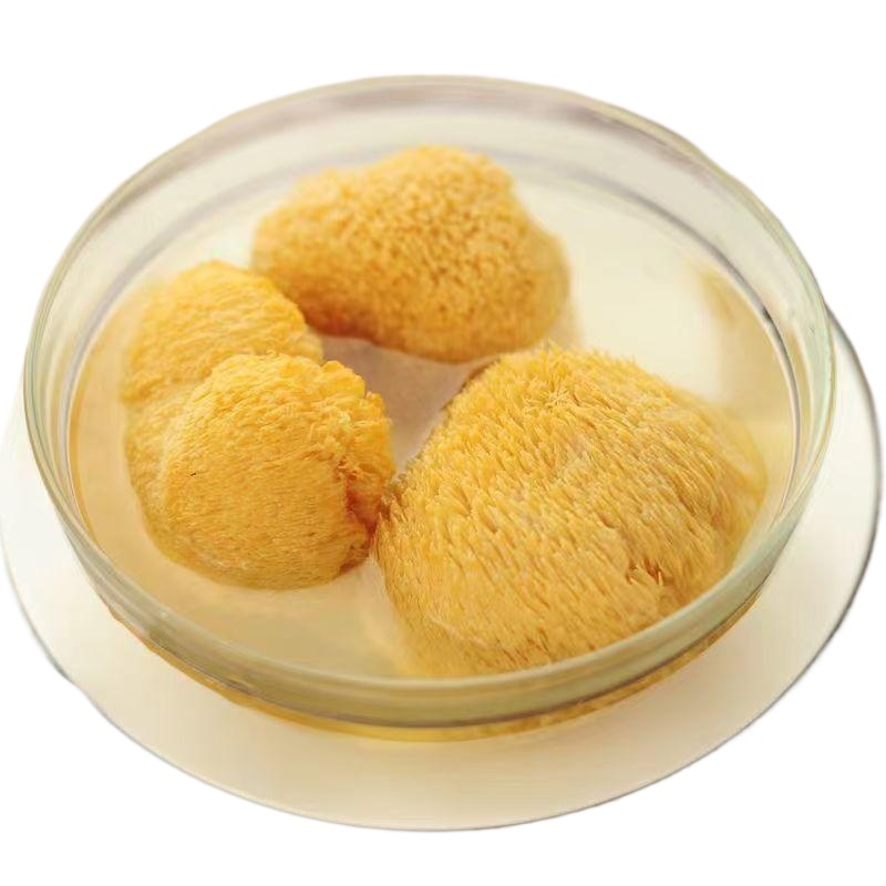 Dried Lion's Mane Mushroom Hou Tou Gu Hericium erinaceus Whole Dried Culinary Mushroom 100g - Image 2