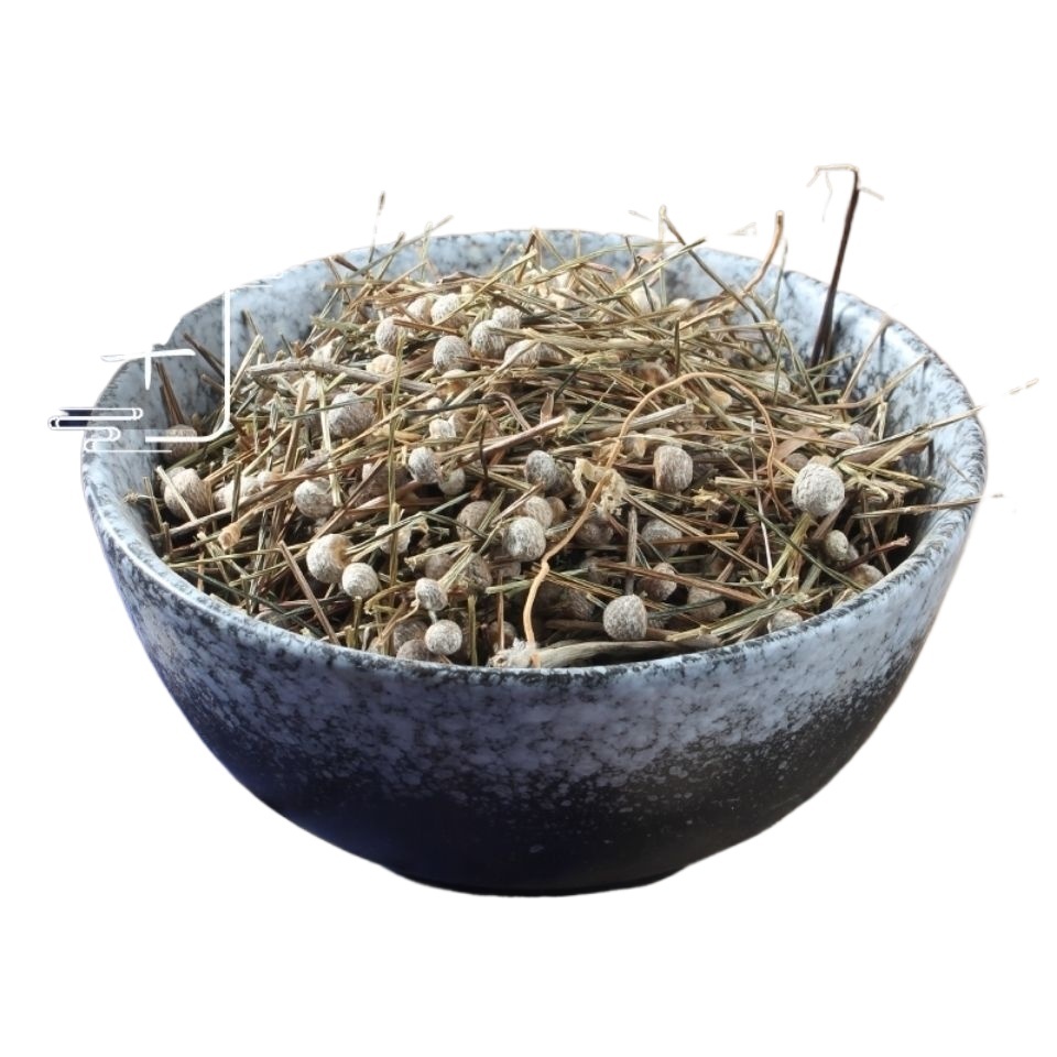 Dried Eriocaulon Buergerianum Gu Jing Cao 500g Whole Herb TCM Decoction Pieces for Traditional Herbal Tea and Decoctions - Image 4
