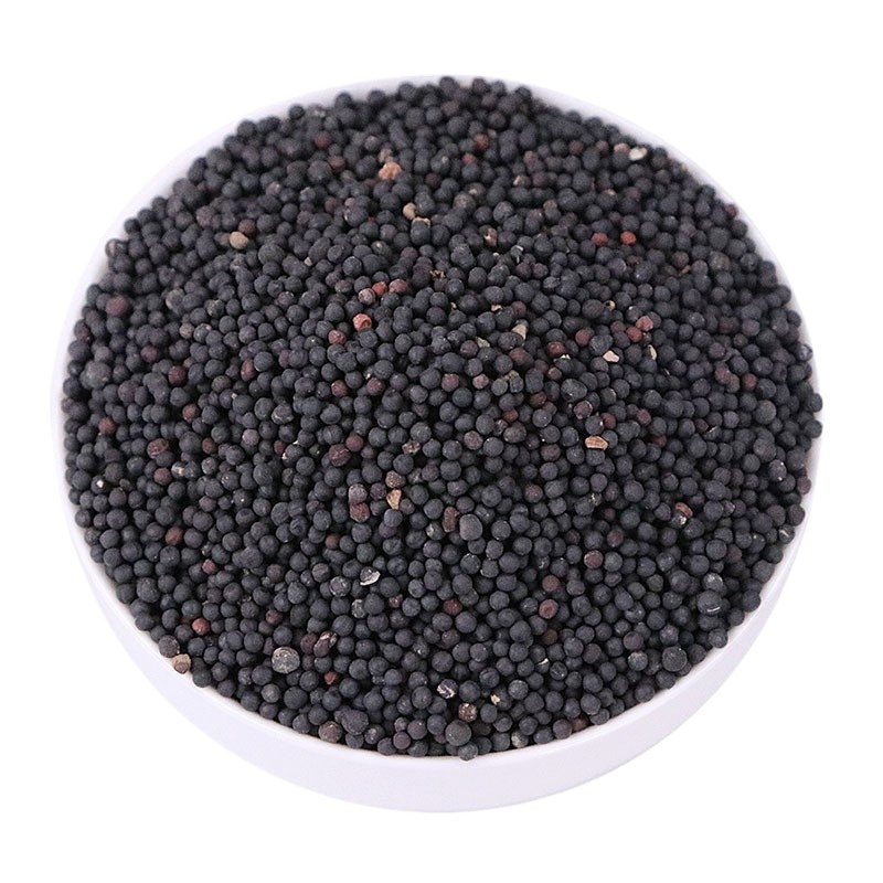 Wang Bu Liu Xing Cowherb Seeds 500g Dried Vaccaria Segetalis Raw Herb for Decoction and Traditional Use - Image 5