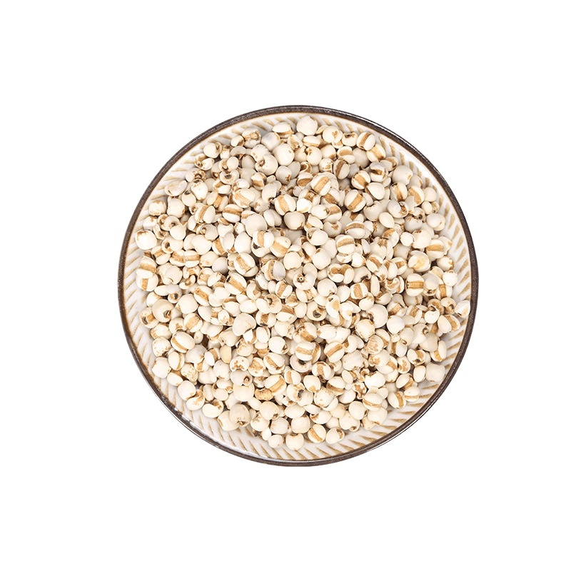 Coix Seed Yi Yi Ren 500g Dried Job's Tears Sliced Chinese Herbal Grain for Soup Congee and Tea - Image 4