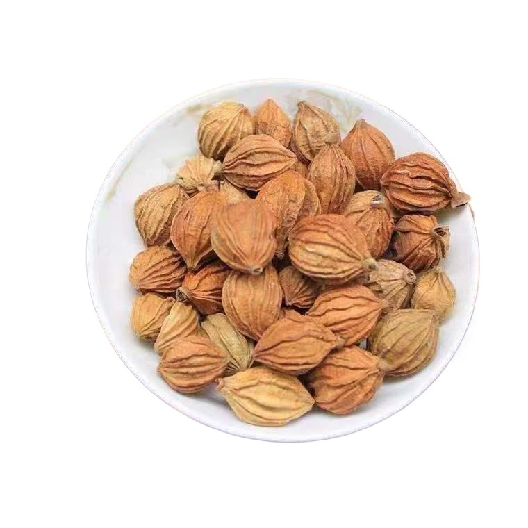 Amomum Fruit Sha Ren 500g Dried Sliced Herb for Braising Hotpot and Stewed Meat Cooking - Image 2
