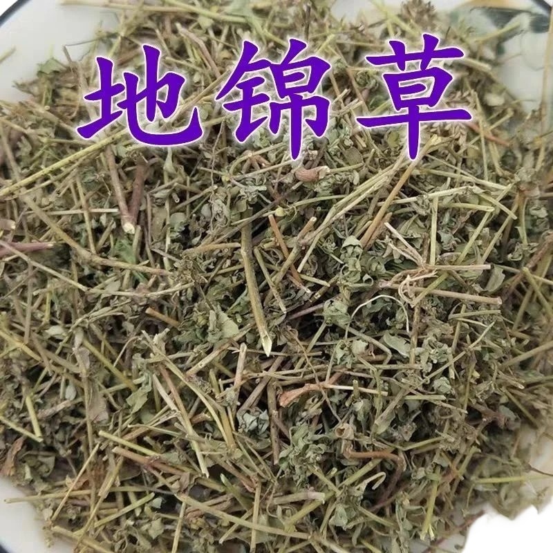 Dried Euphorbia Humifusa Di Jin Cao 500g Sliced Creeping Euphorbia Herb for Traditional Decoctions - Image 2