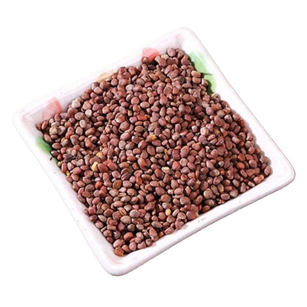 Raphanus Seed Lai Fu Zi 500g Dried Radish Seed for Tea and Decoction Raw Chinese Herb - Image 3