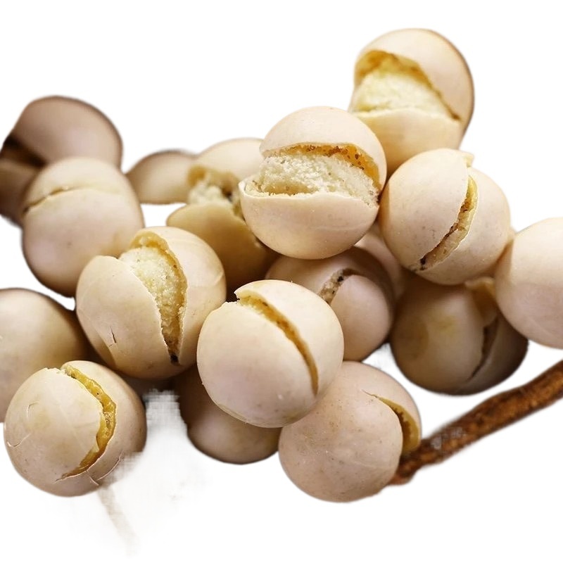 Dried Chickpeas 500g Ying Zui Dou Whole Grains for Cooking Sprouting and Snacks - Image 3